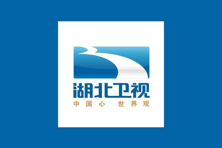湖北衛星テレビのインタビュー：武漢「都市パートナー」陳長清：一つの灯珠が国際独占を破る。