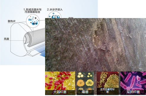 微信图片_20190707205341.png