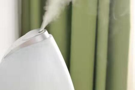 家家都用的空气加湿器，可能是肺炎的罪魁祸首，如何避免引发肺炎