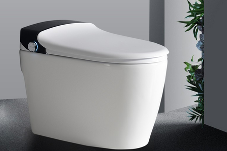 Miyano smart toilet