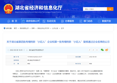 集团公司优炜芯入选国家级专精特新“小巨人”企业